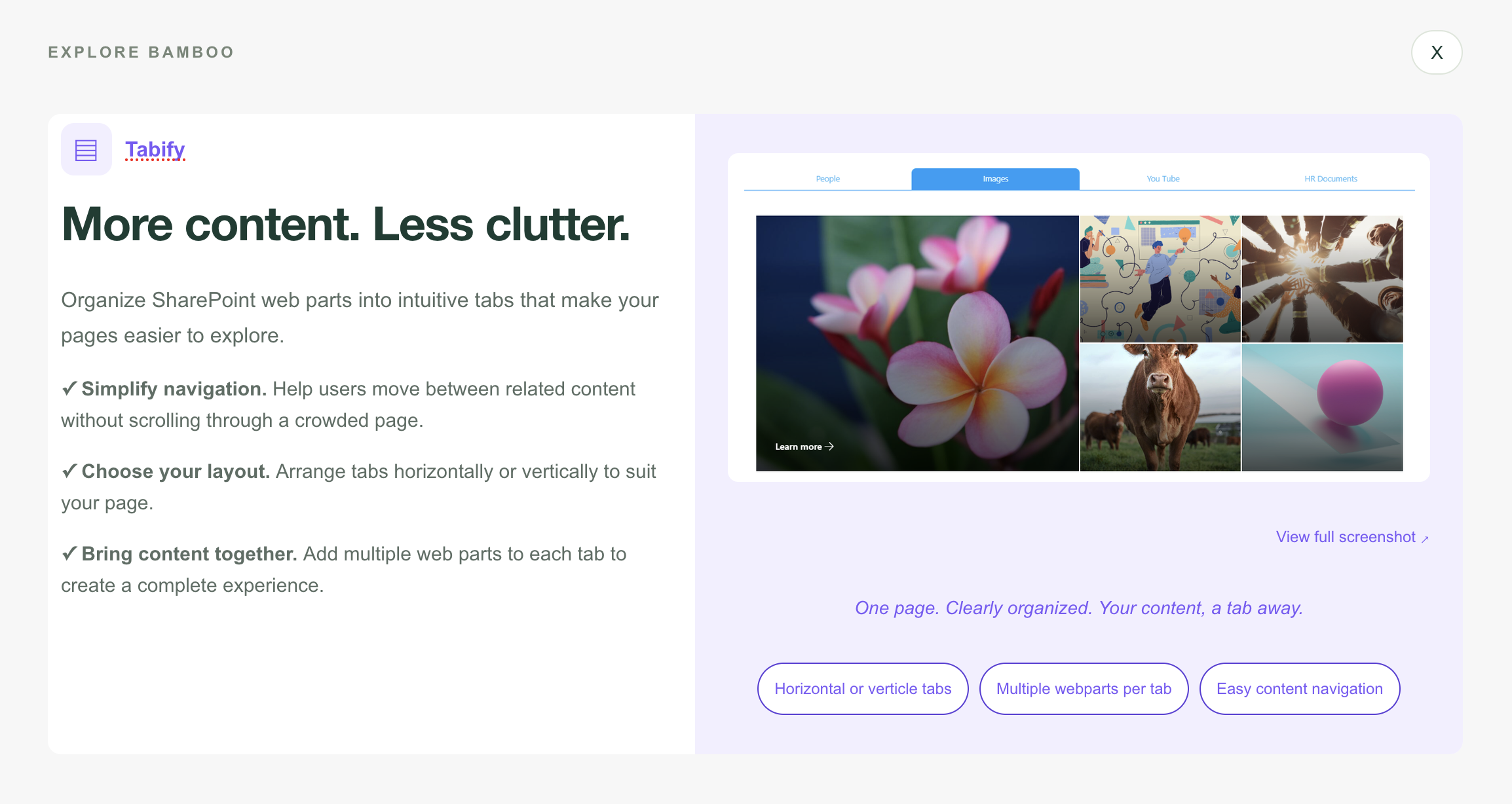 Bamboo Solutions Tabify product overview